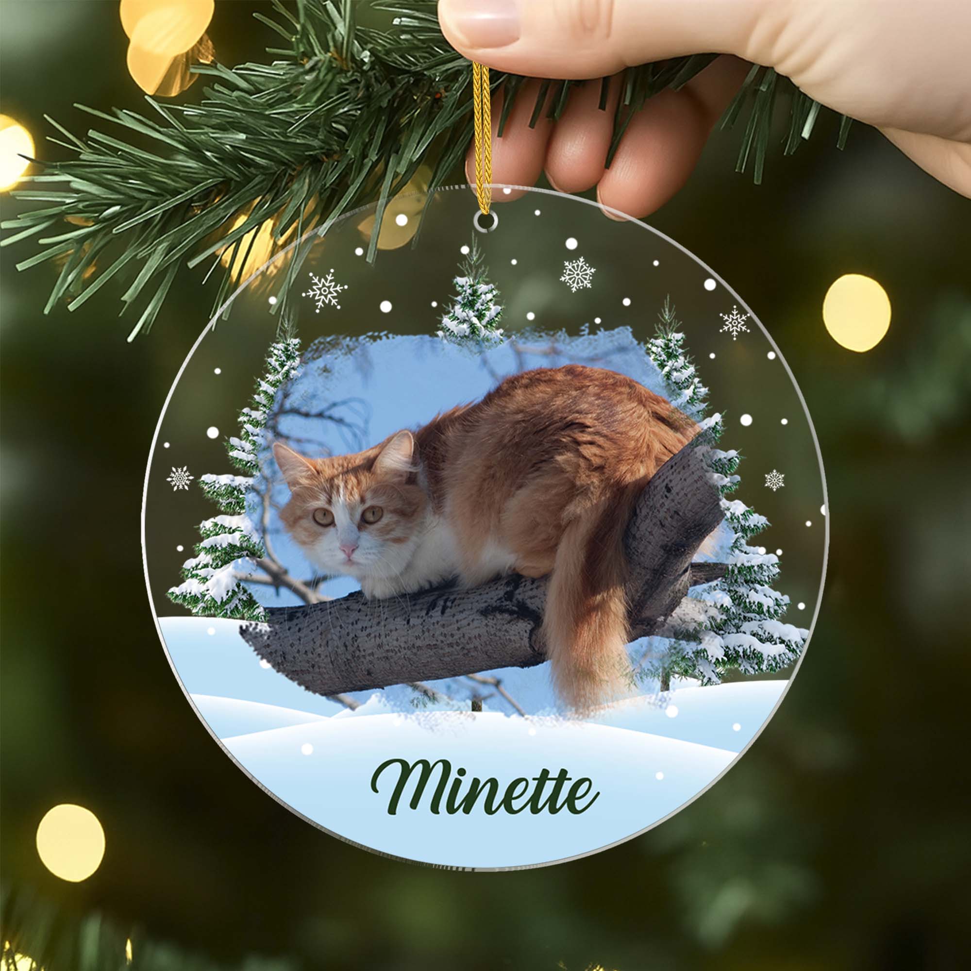 Miniature 2